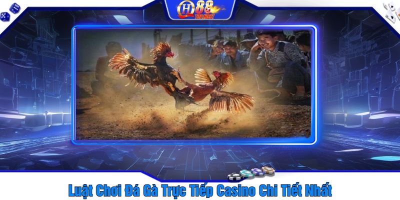 Luật Chơi Đá Gà Trực Tiếp Casino Chi Tiết Nhất